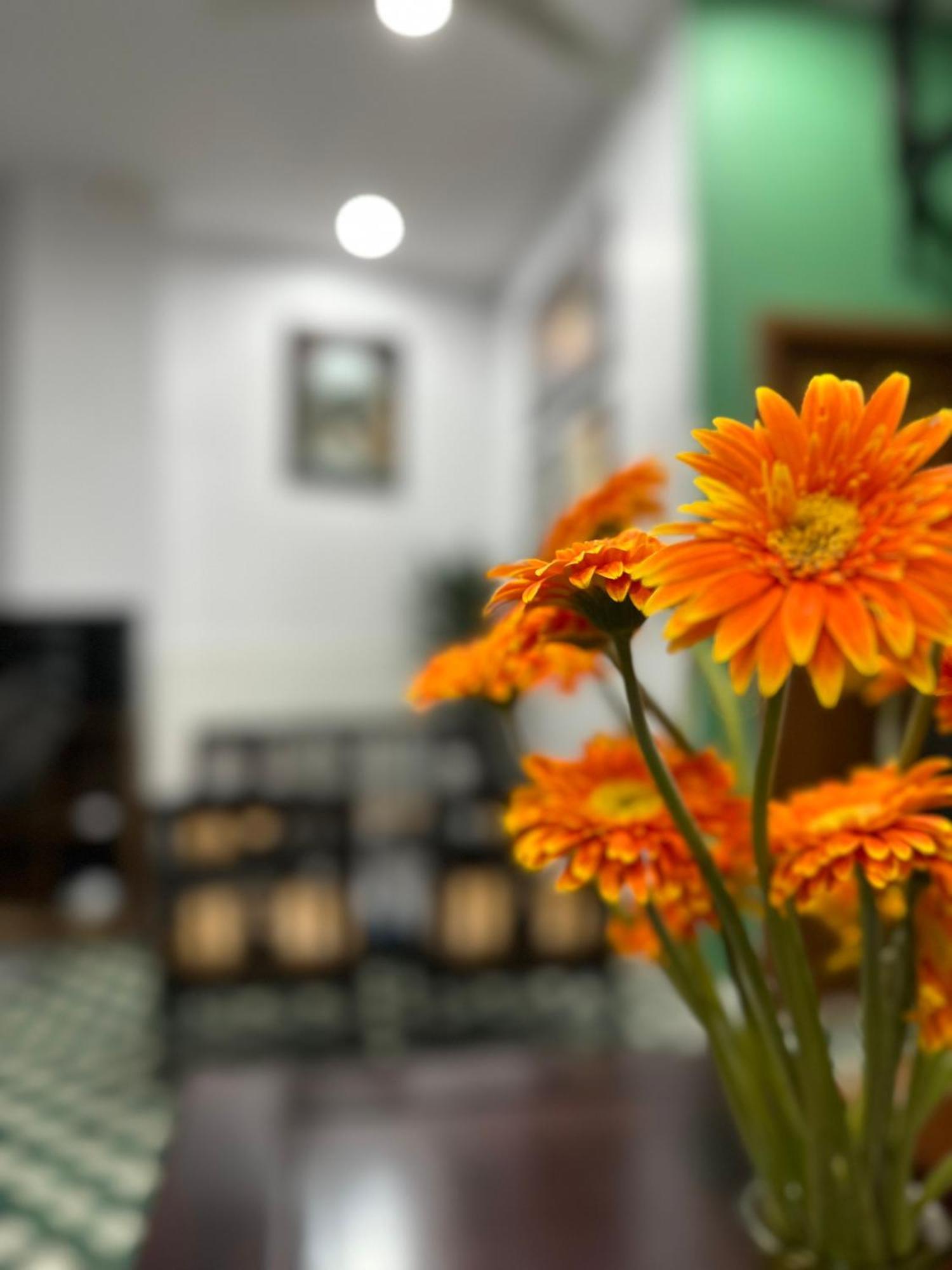 Nineties Homestay Huế Ngoại thất bức ảnh